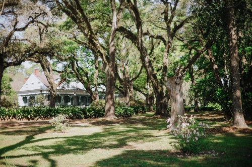 The Myrtles image 34