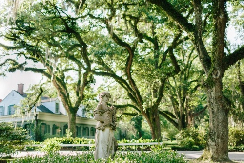 The Myrtles image 38